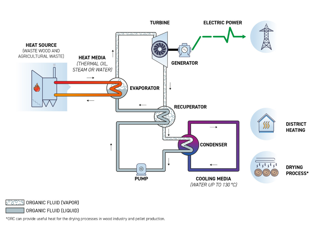 Biomass