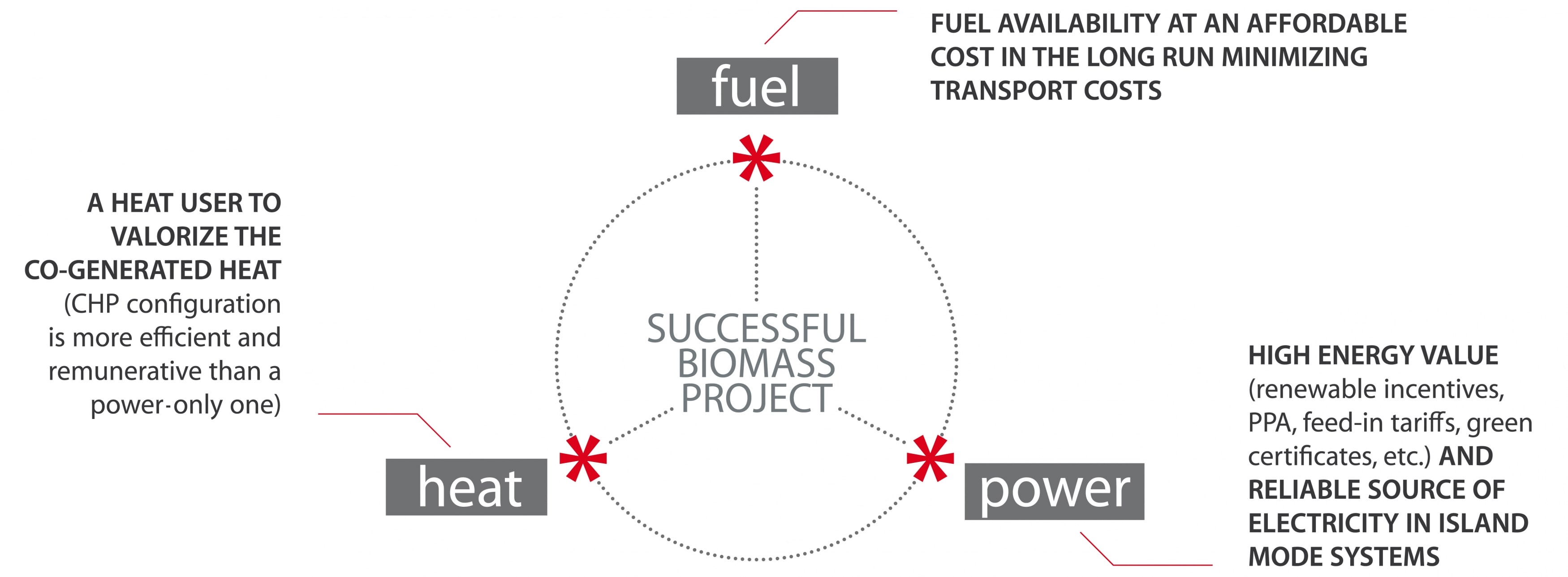 Progetto di biomassa di successo