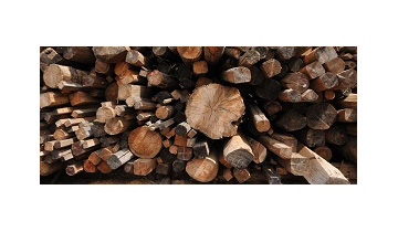 Webinar: Distributed Power Generation from Biomass in North America