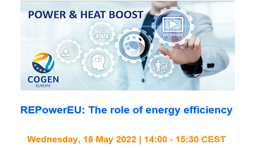 Webinar: "REPowerEU: Il ruolo dell'efficienza energetica"