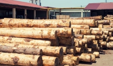 The role of ORC (Organic Rankine Cycle) plants in the woodworking industry