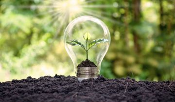 La crescita delle energie rinnovabili: opportunità e sfide