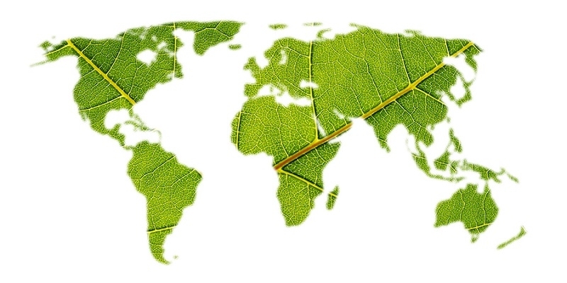 Politica &amp;amp;amp;amp;amp;amp;amp;amp;amp;amp;amp;amp;amp;amp;amp;amp;amp;amp;amp;amp;amp;amp;amp;amp;amp;amp;amp;amp;amp;amp;amp;amp;amp;amp;amp;amp;amp;amp;amp;amp;amp;amp;amp;amp;amp; Certificazioni