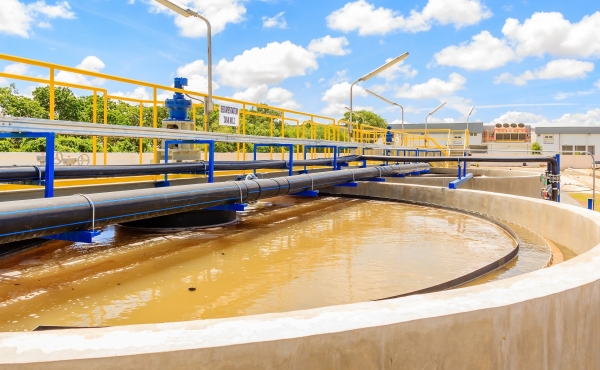 SEWAGE SLUDGE